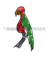 Zeichnung Papagei