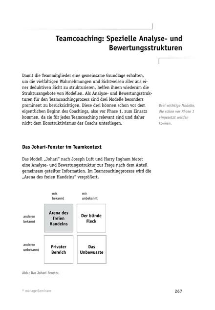Tool  Neue Hamburger Schule: Teamcoaching - Grundsätzliches